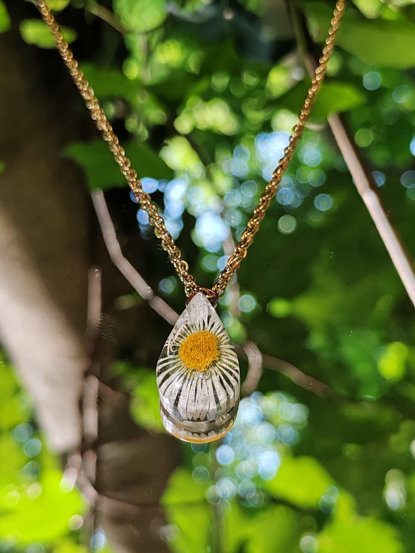 Collier - Fleurs séchées - Marguerite