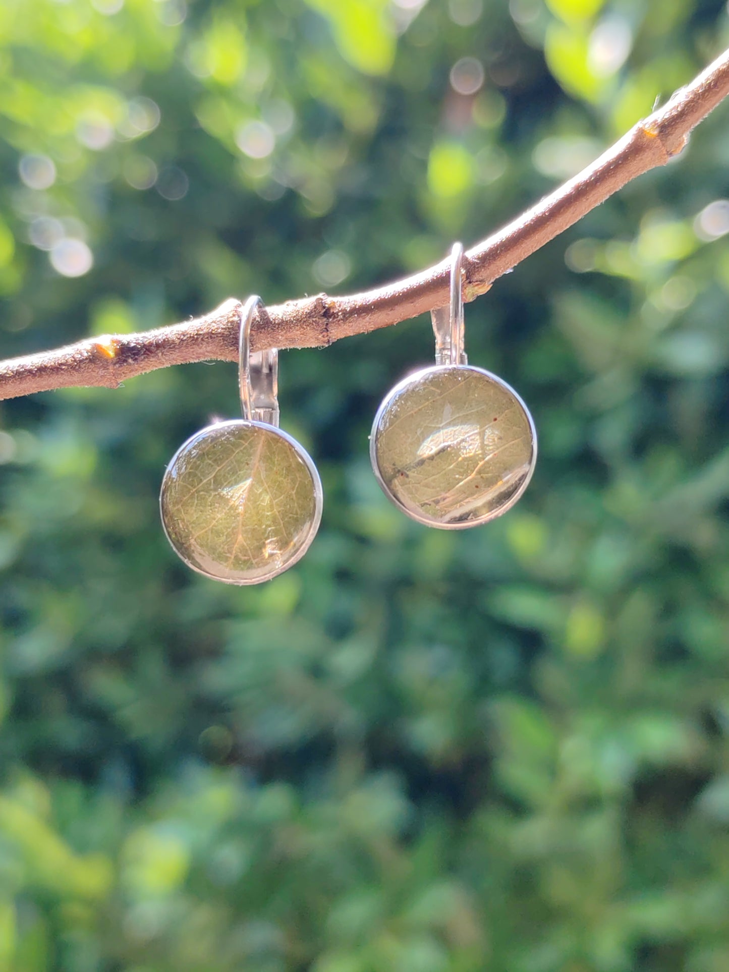 Boucle d'oreille dormeuse - Fleurs séchées - Eucalyptus