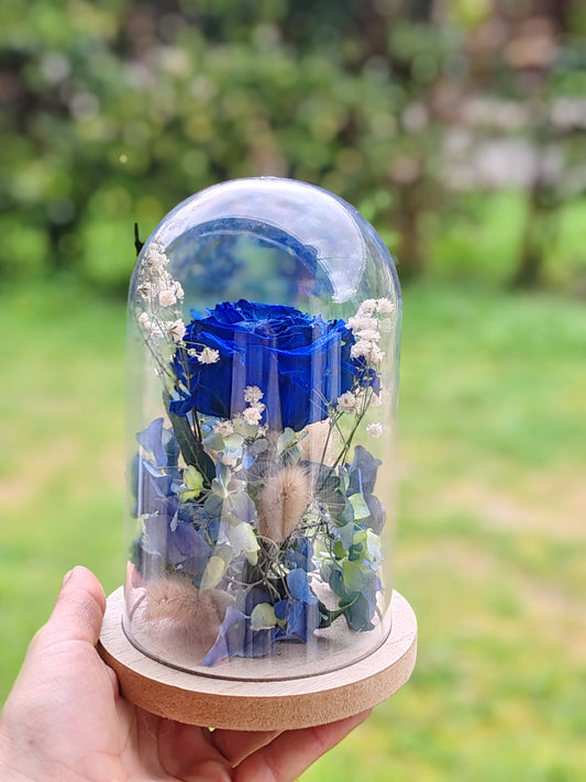 Cloches - Fleurs séchées - Rose bleu