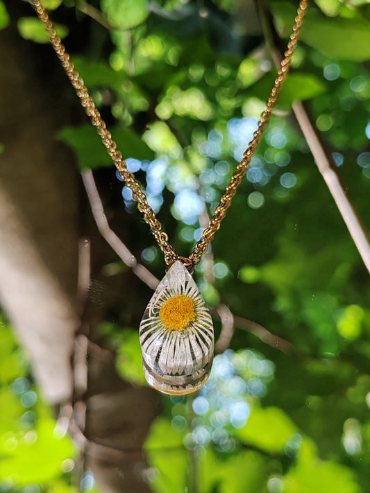 Collier - Fleurs séchées - Marguerite