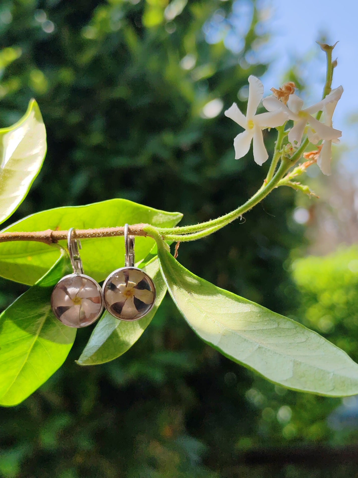 Bocle d'oreille dormeuse - Fleurs séchées - Jasmin