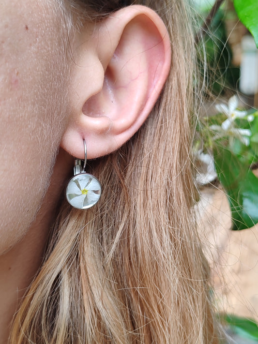 Bocle d'oreille dormeuse - Fleurs séchées - Jasmin